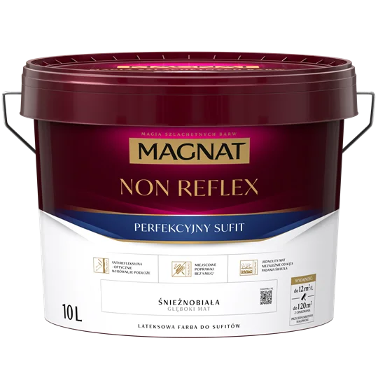 Vopsea Magnat Non Reflex 10L